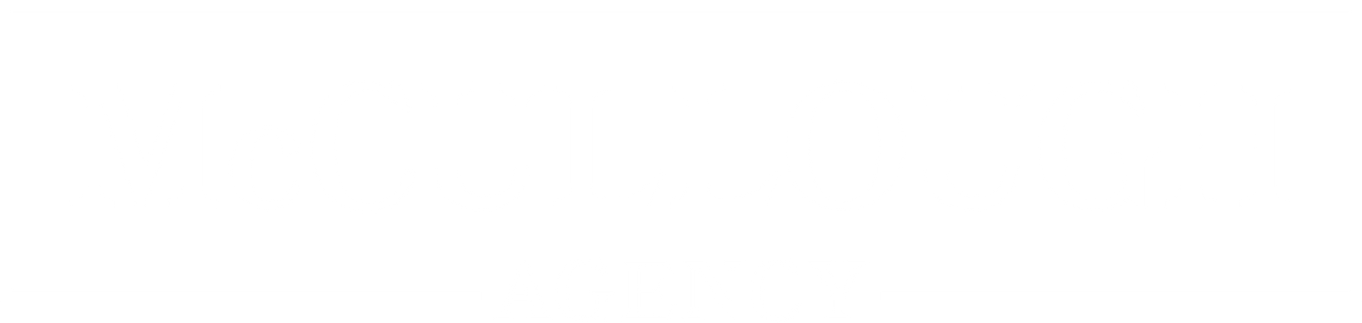 Blank white horizontal rectangle on a white background with a thin black border at the bottom