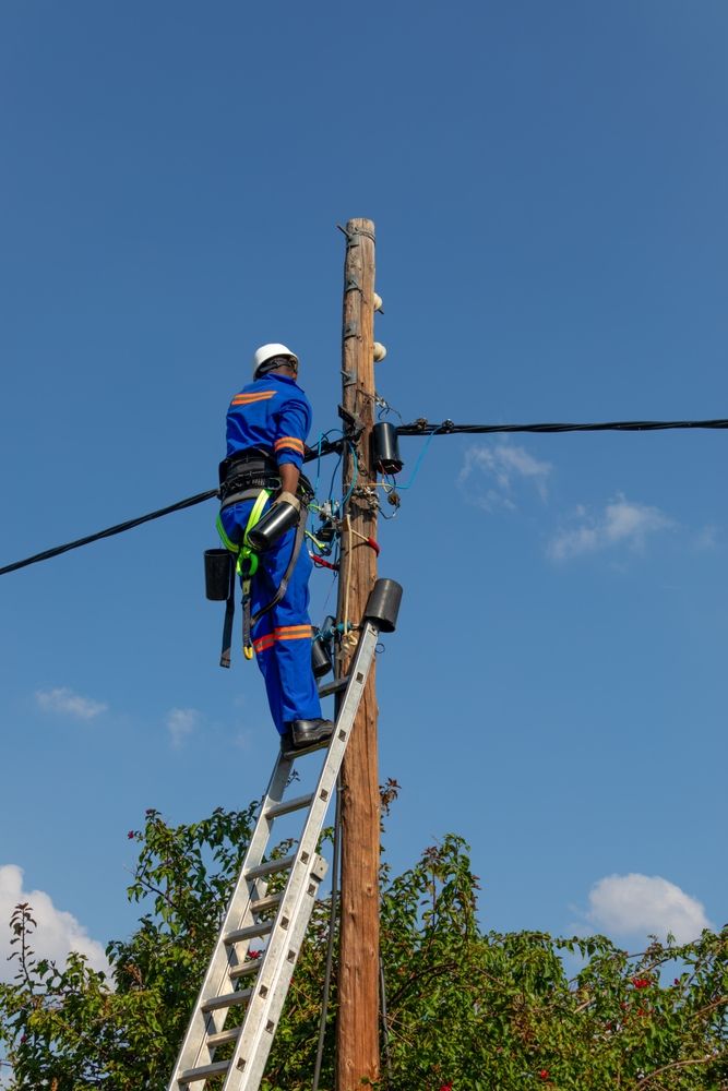 A Man is Standing on a Ladder on Top of an Electrical Pole — Rob Ward Electrical Services in Byron Bay, NSW