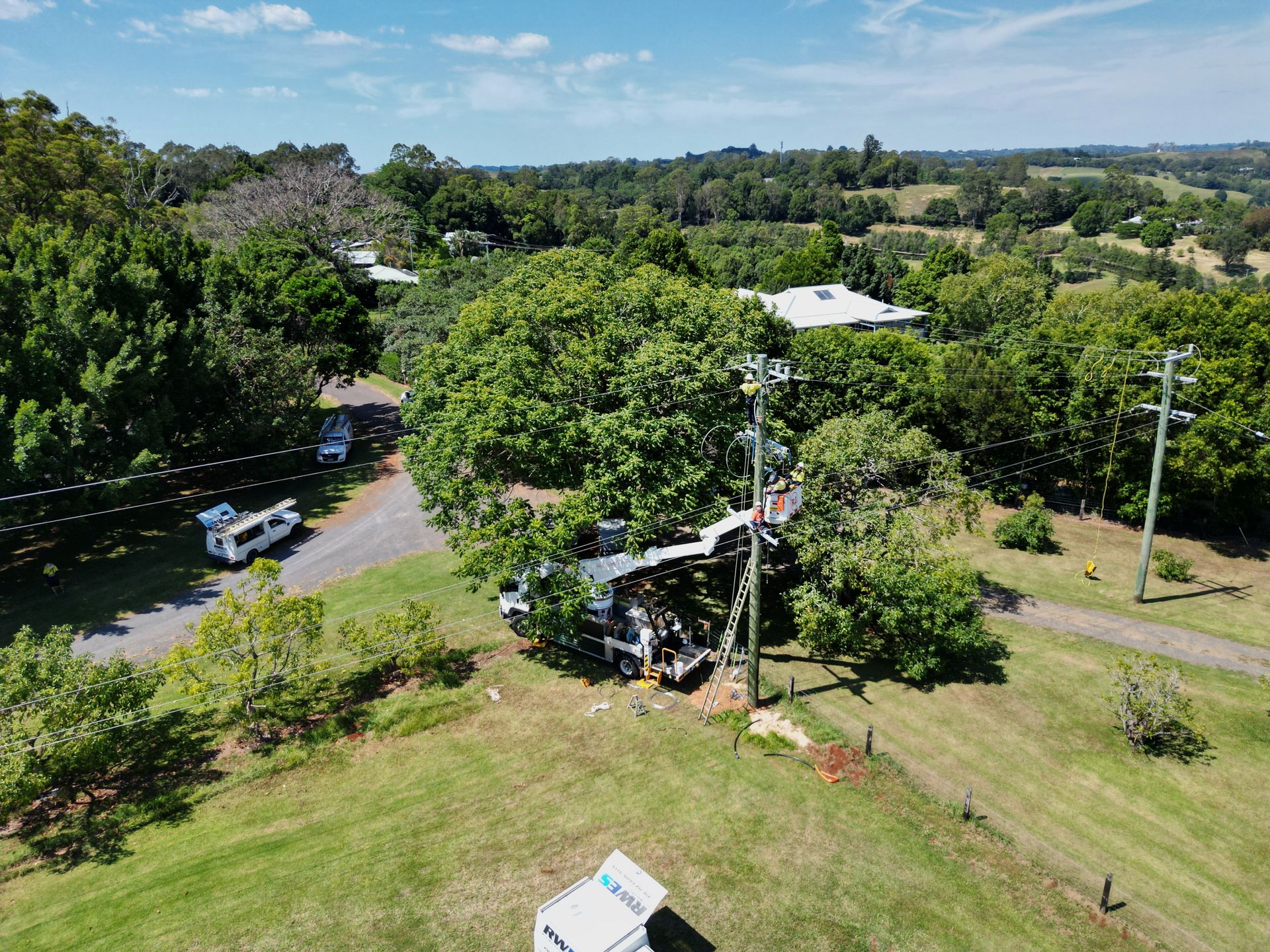 Utility Trucks and Workers Near a Power Pole Surrounded by Trees — Rob Ward Electrical Services in Mullumbimby, NSW
