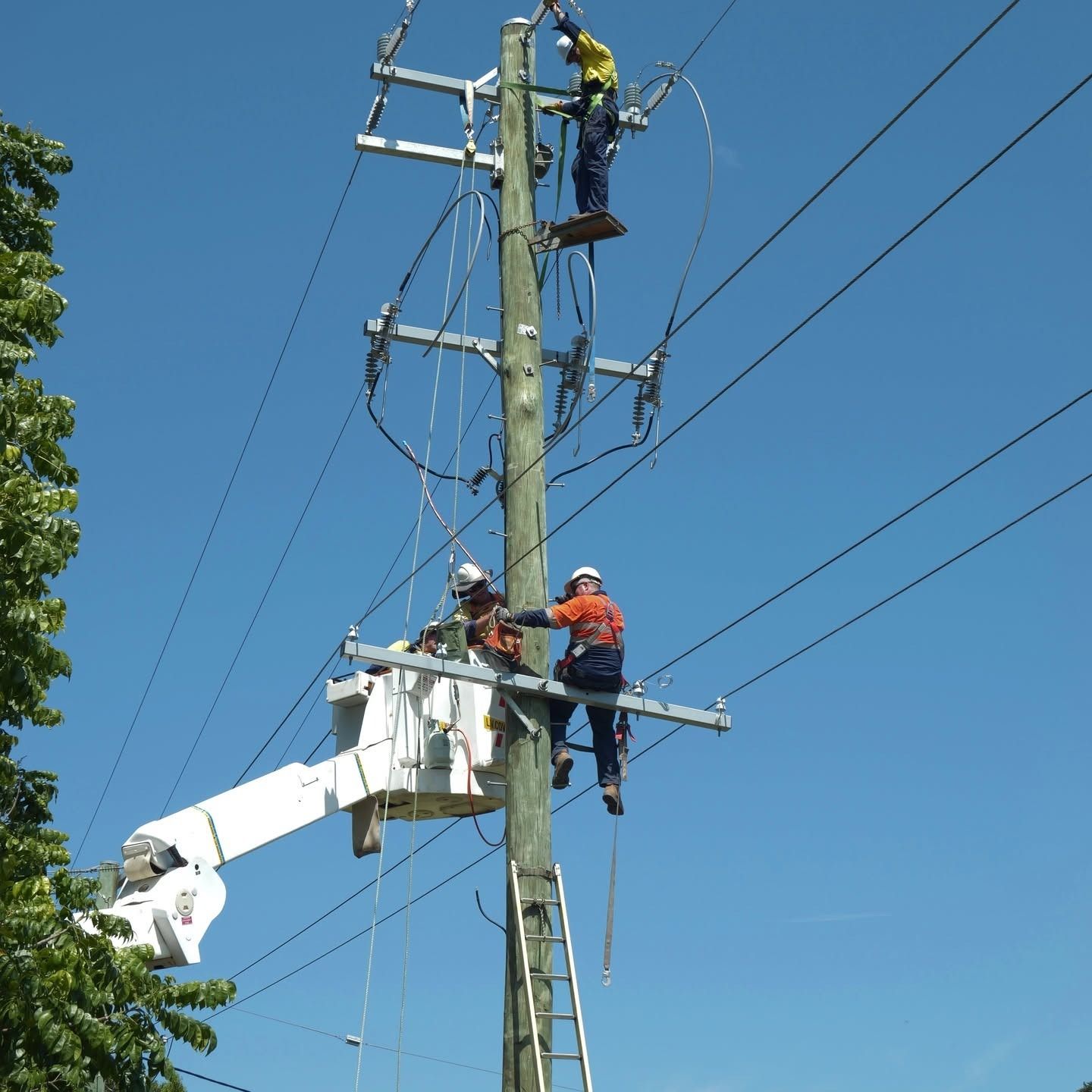 Electricians Climbing on Pole in Northern Rivers