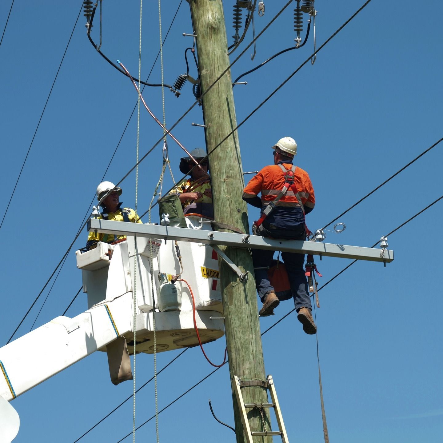 Electricians on Electrical Power Pole in Northern Rivers