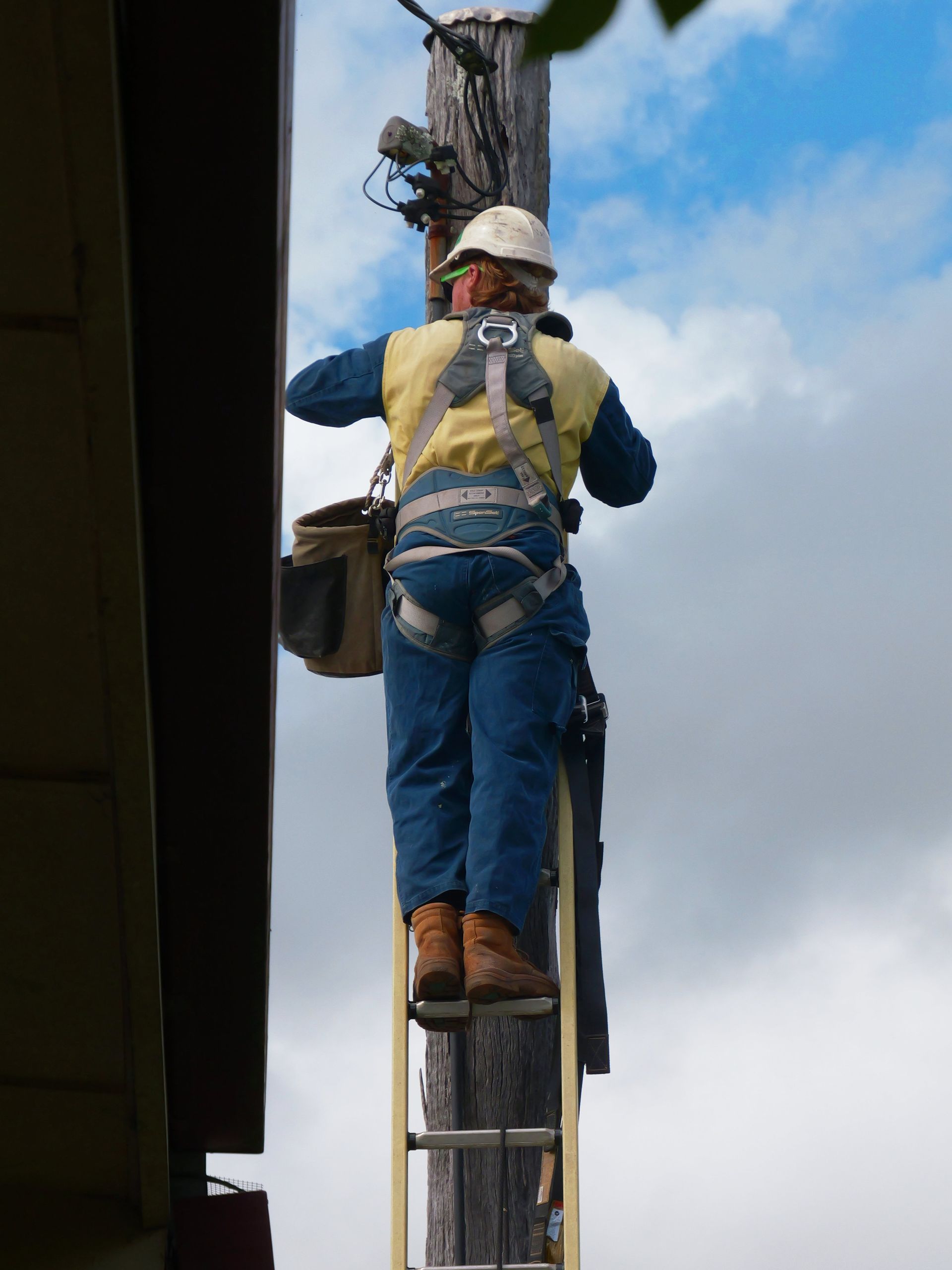 Lineman on a Utility Pole, Wearing a Safety Harness — Rob Ward Electrical Services in Ballina, NSW