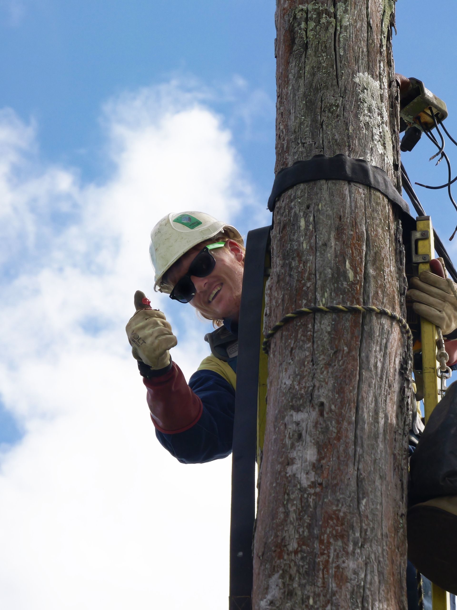 Lineman in Harness Gives a Thumbs Up From a Utility Pole — Rob Ward Electrical Services in Wardell, NSW