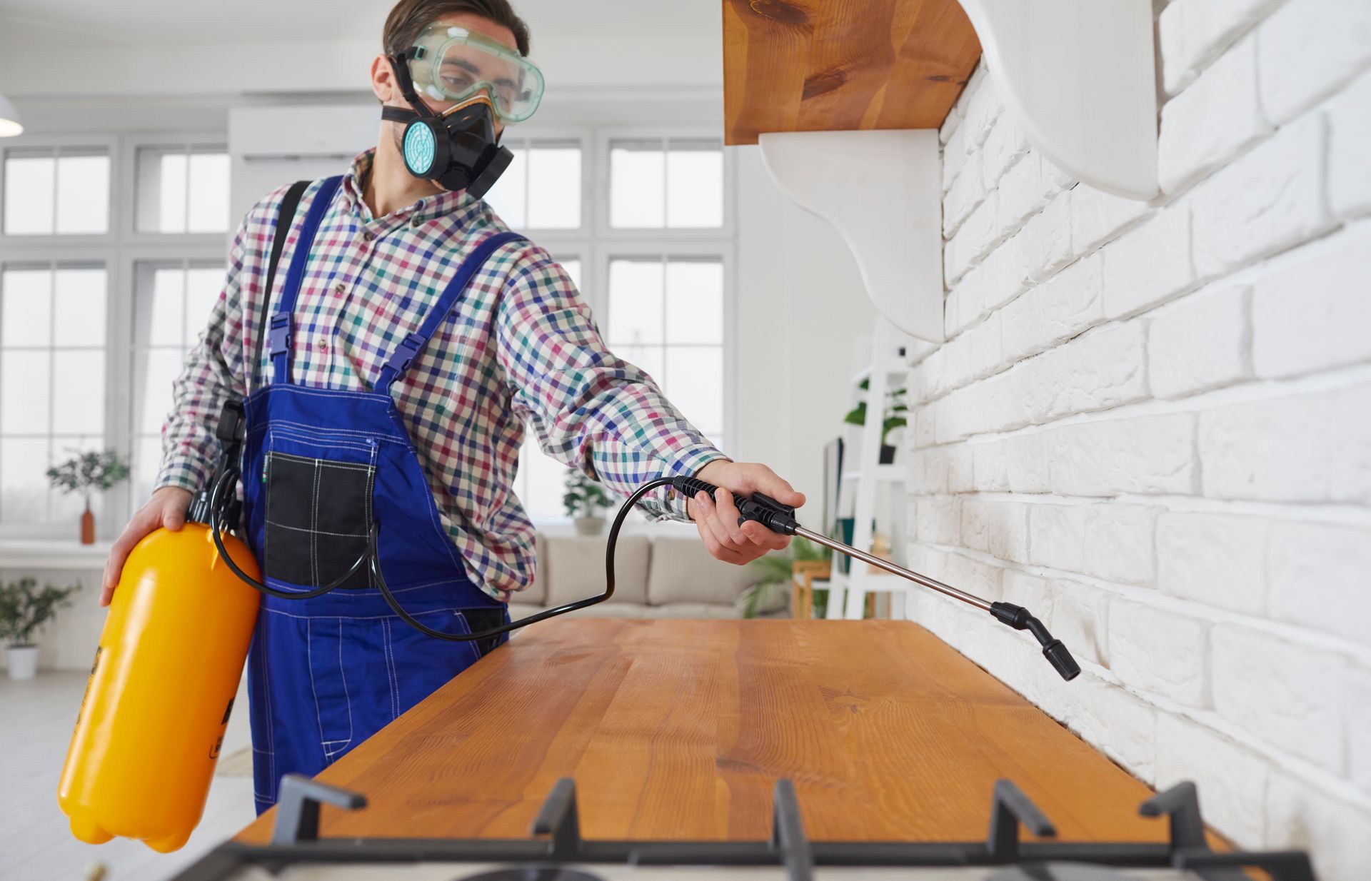 An image of Pest Control Service in The Colony, TX