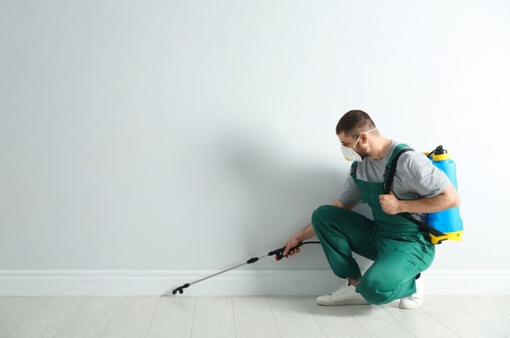 An image of Pest Control Service in The Colony, TX