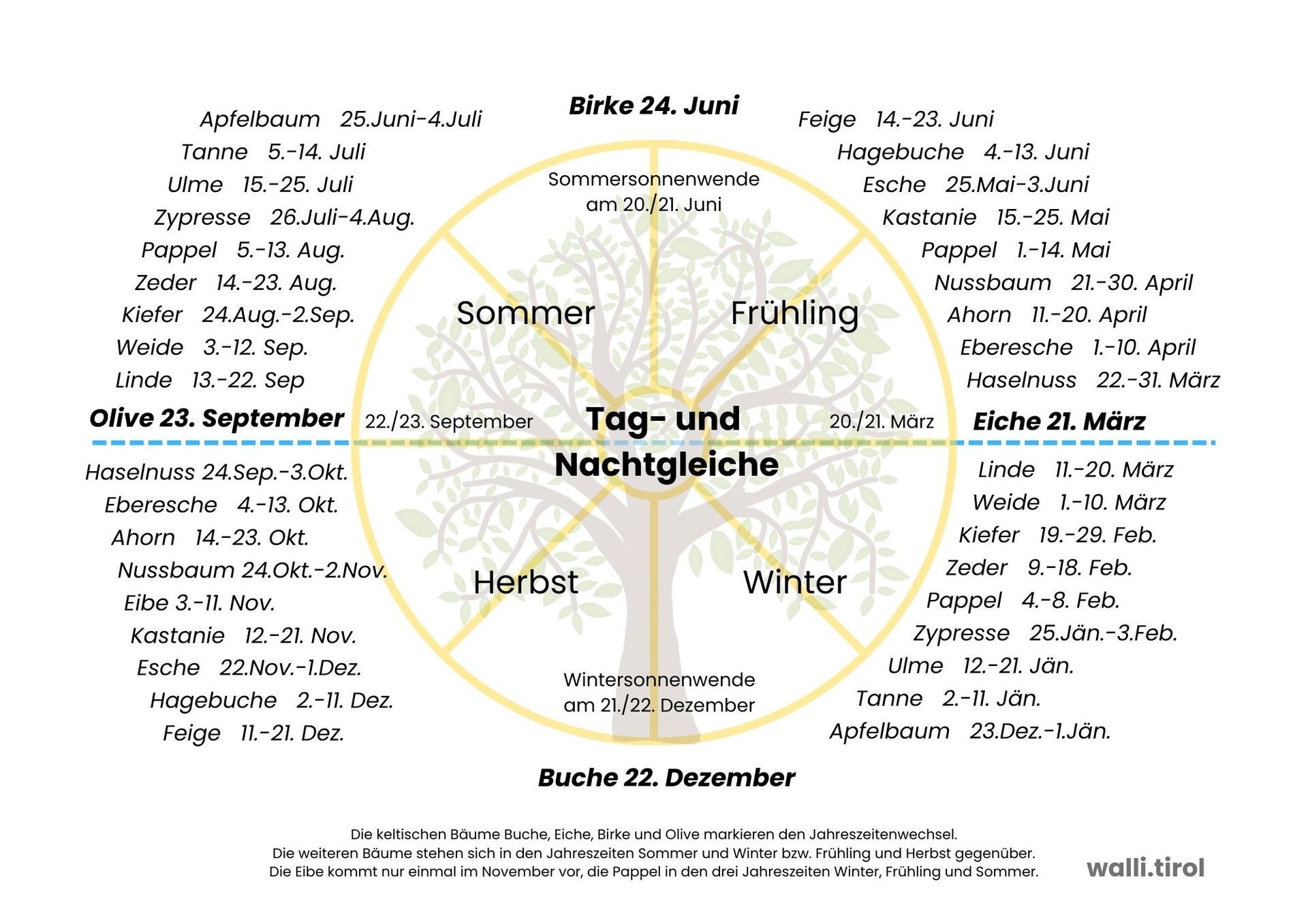 Diagramm der Jahreszeiten der Erde mit Umlaufbahn, Sonnenwenden, Tagundnachtgleichen und beschrifteten Hemisphären (in deutscher Sprache)