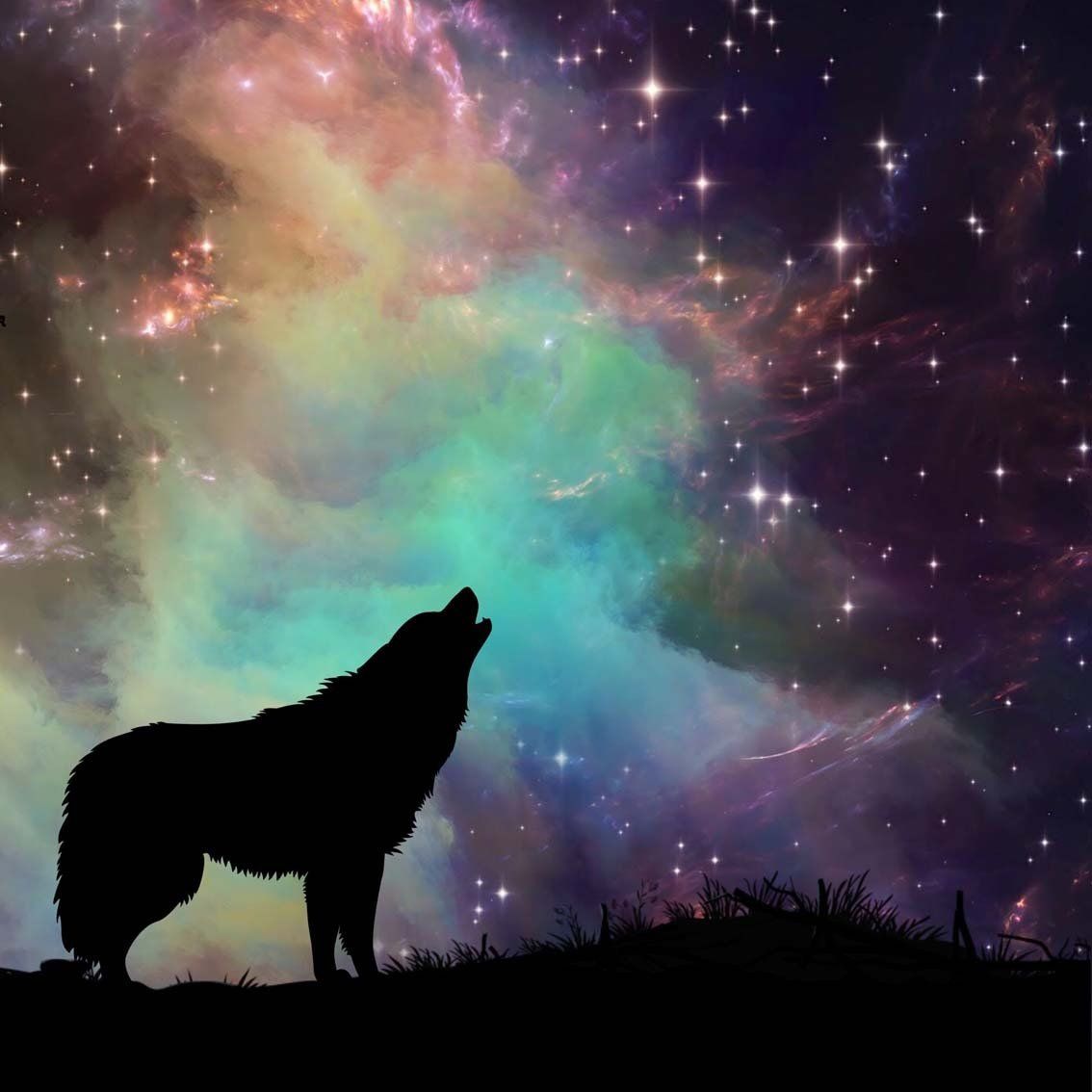 Silhouette eines Wolfes, der auf einem Hügel unter einem farbenprächtigen, nebelgefüllten Sternenhimmel heult