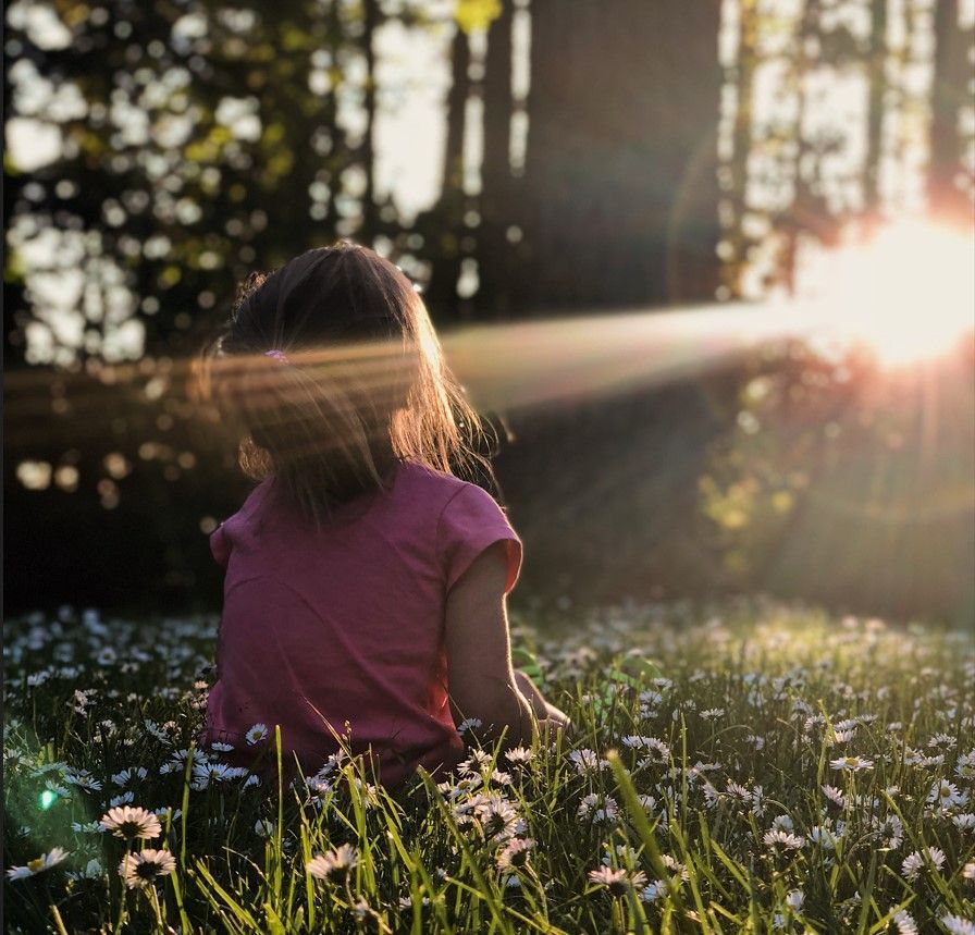 Ein Kind sitzt auf einer sonnenbeschienenen Wiese mit Wildblumen und blickt durch die Bäume auf einen hellen Sonnenuntergang.
