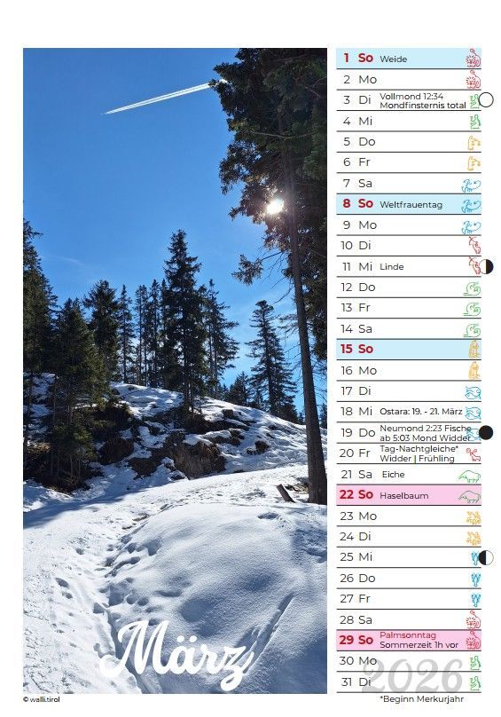 Winterlandschaft mit verschneitem Waldweg, blauem Himmel und einem deutschen März-Kalenderblatt auf der rechten Seite