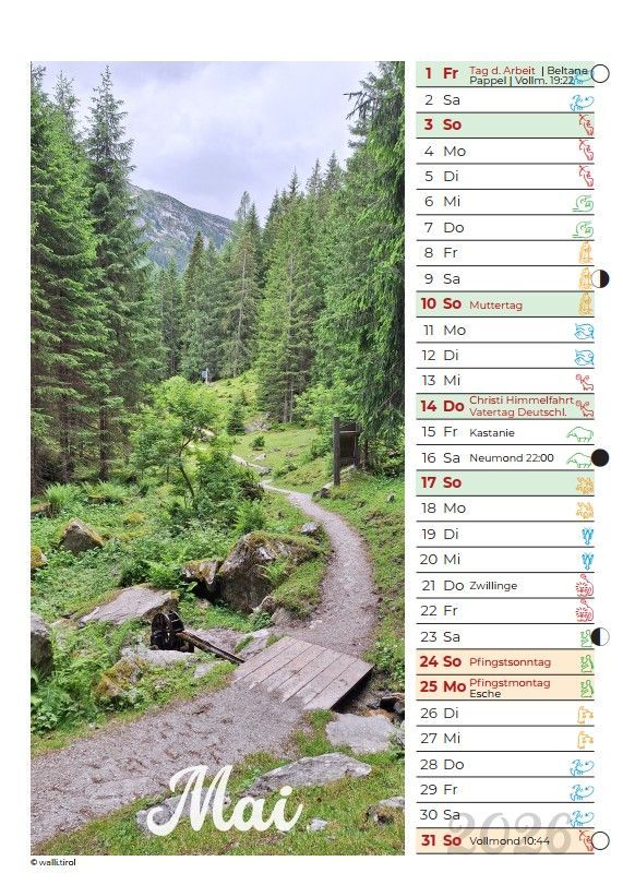 Bergwald mit einem gewundenen Pfad und Wildblumen, rechts mit der Aufschrift „Mai“ versehen.