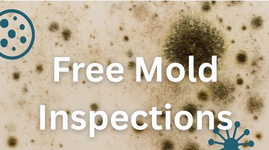 Mold on a light-colored surface with text: