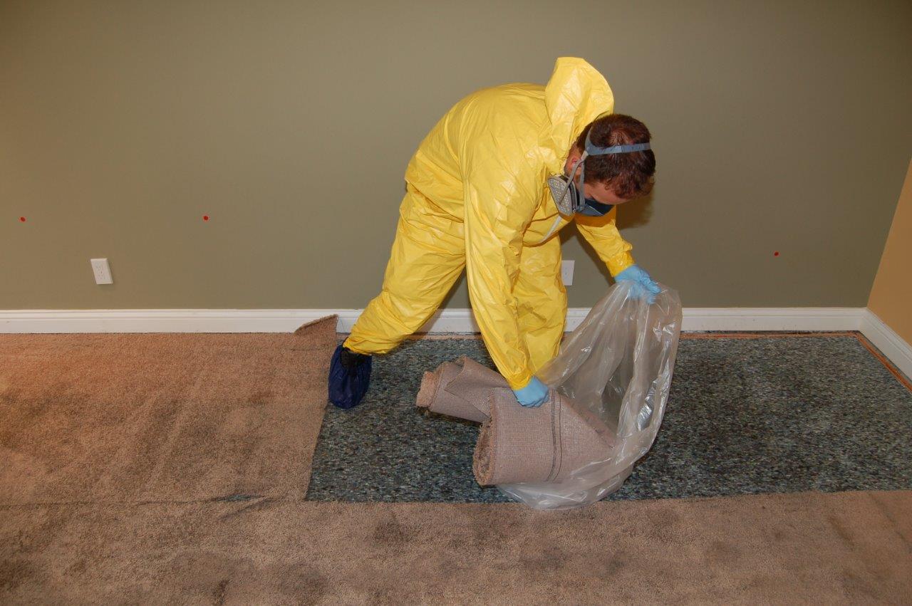 Person in yellow protective suit rolls up carpet, placing it in a plastic bag; indoors.