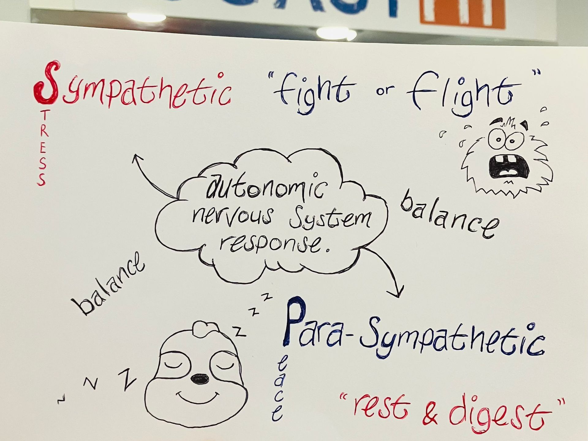 finding the right balance with holistic training