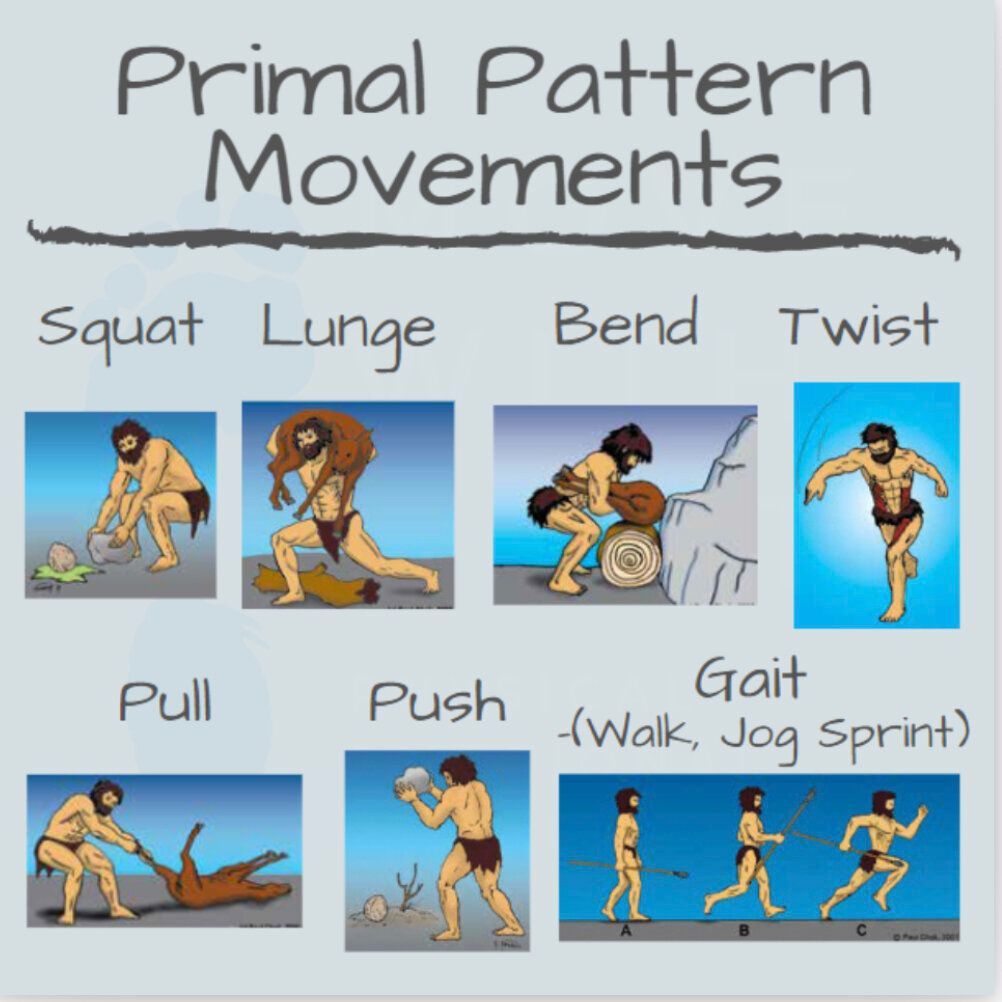 Program Design Primal Movements