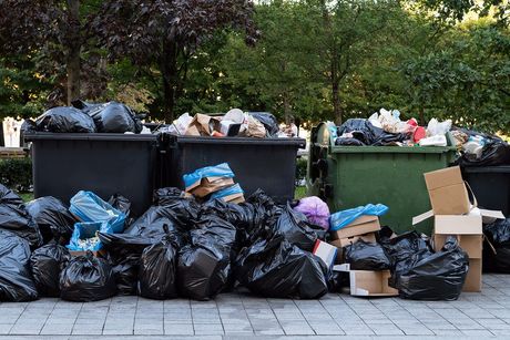 garbages beside the walkway