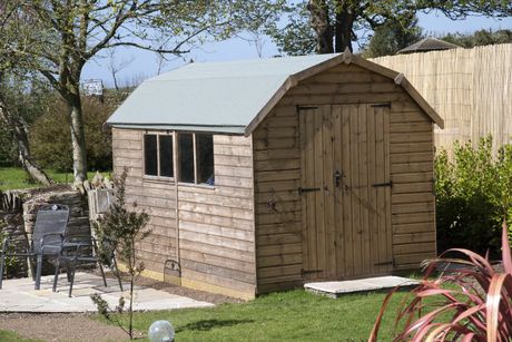 shed in the yard