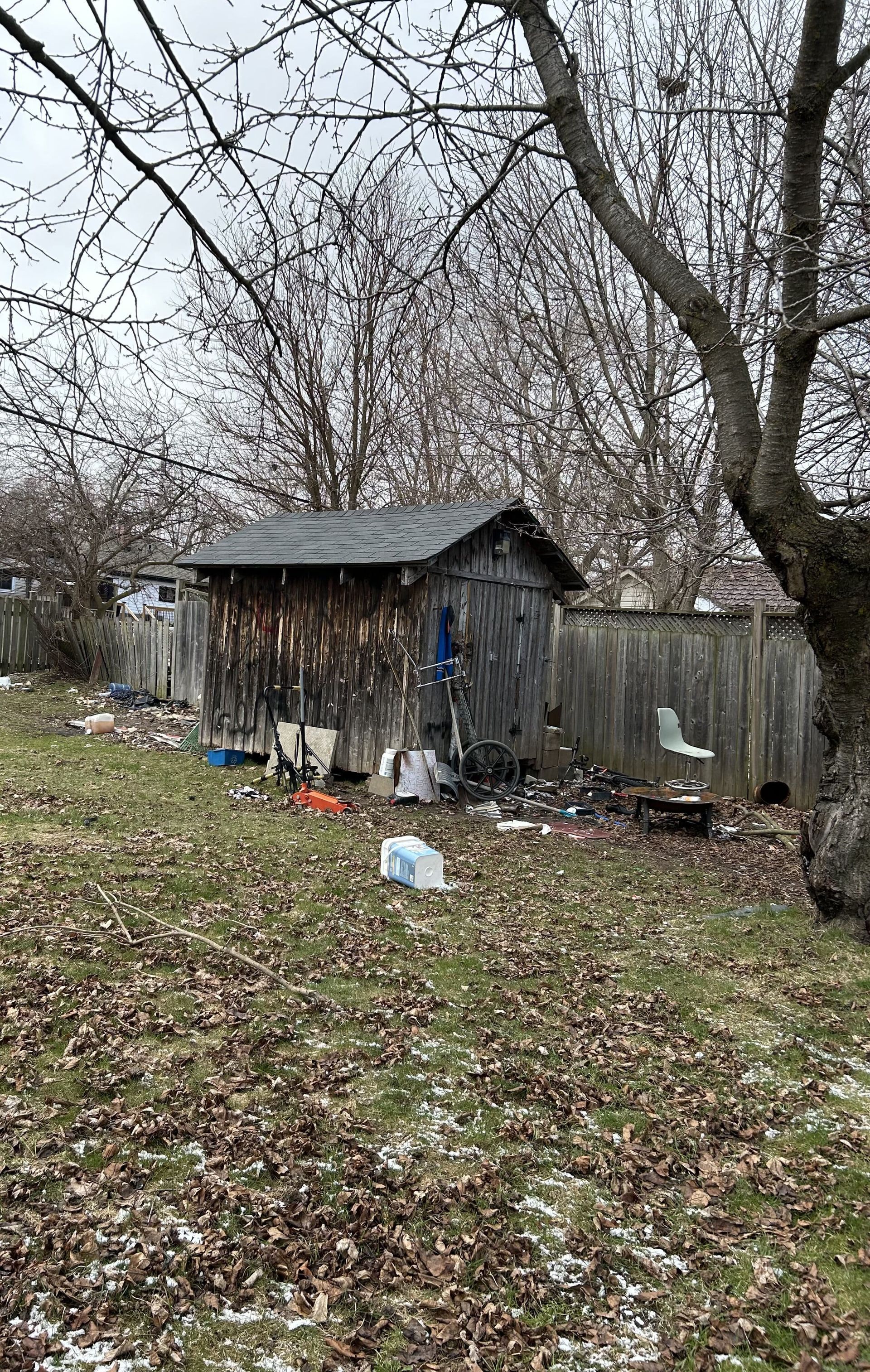 Small weathered shed in a leaf-covered yard, surrounded by bare trees and scattered debris.