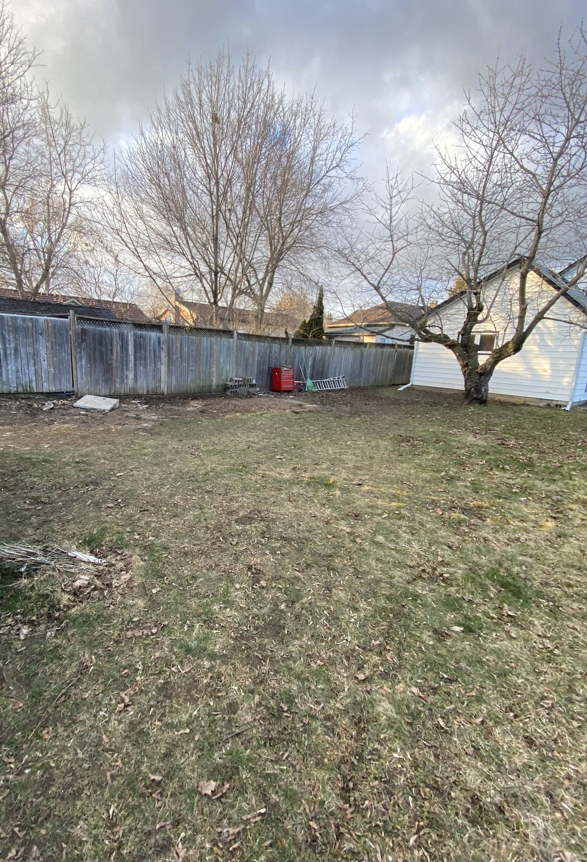 Backyard with leaf-covered grass, a wooden fence, bare trees, and a white house under a cloudy sky