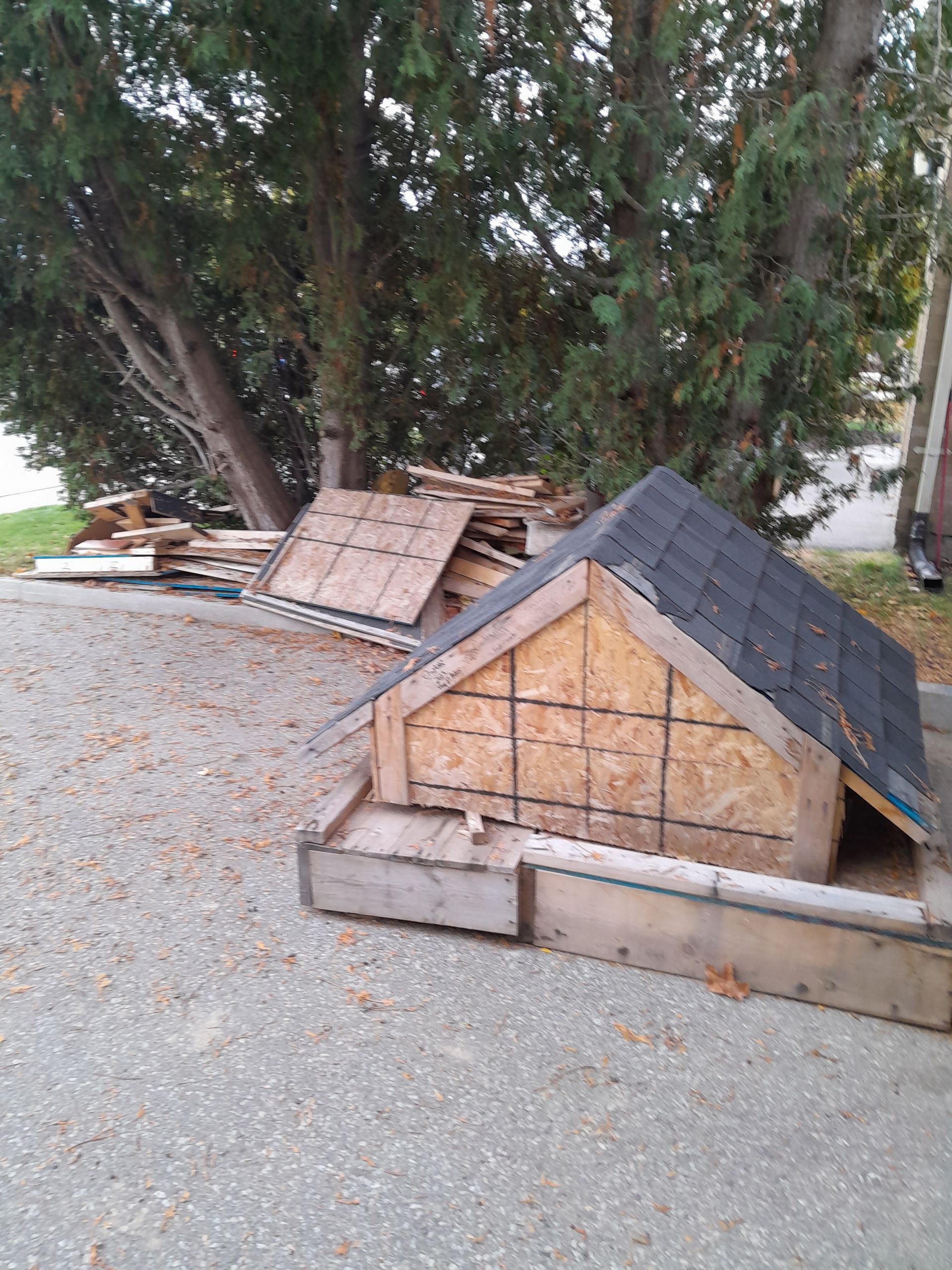 Stacked wooden doghouse panels and small doghouses beside a tree on a gravel lot.