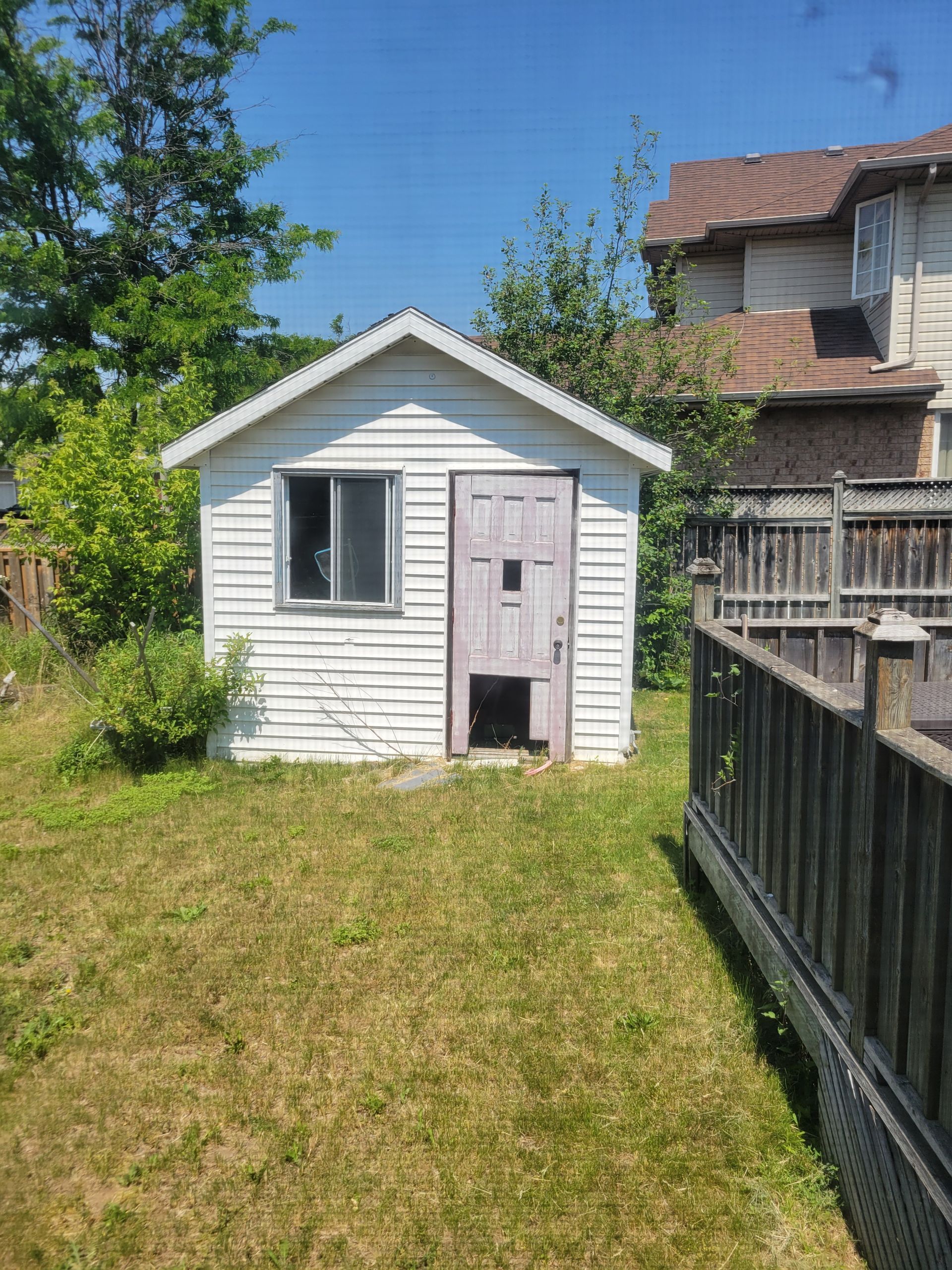 Small white shed with a gray door in a sunny backyard, beside a fence and larger house.