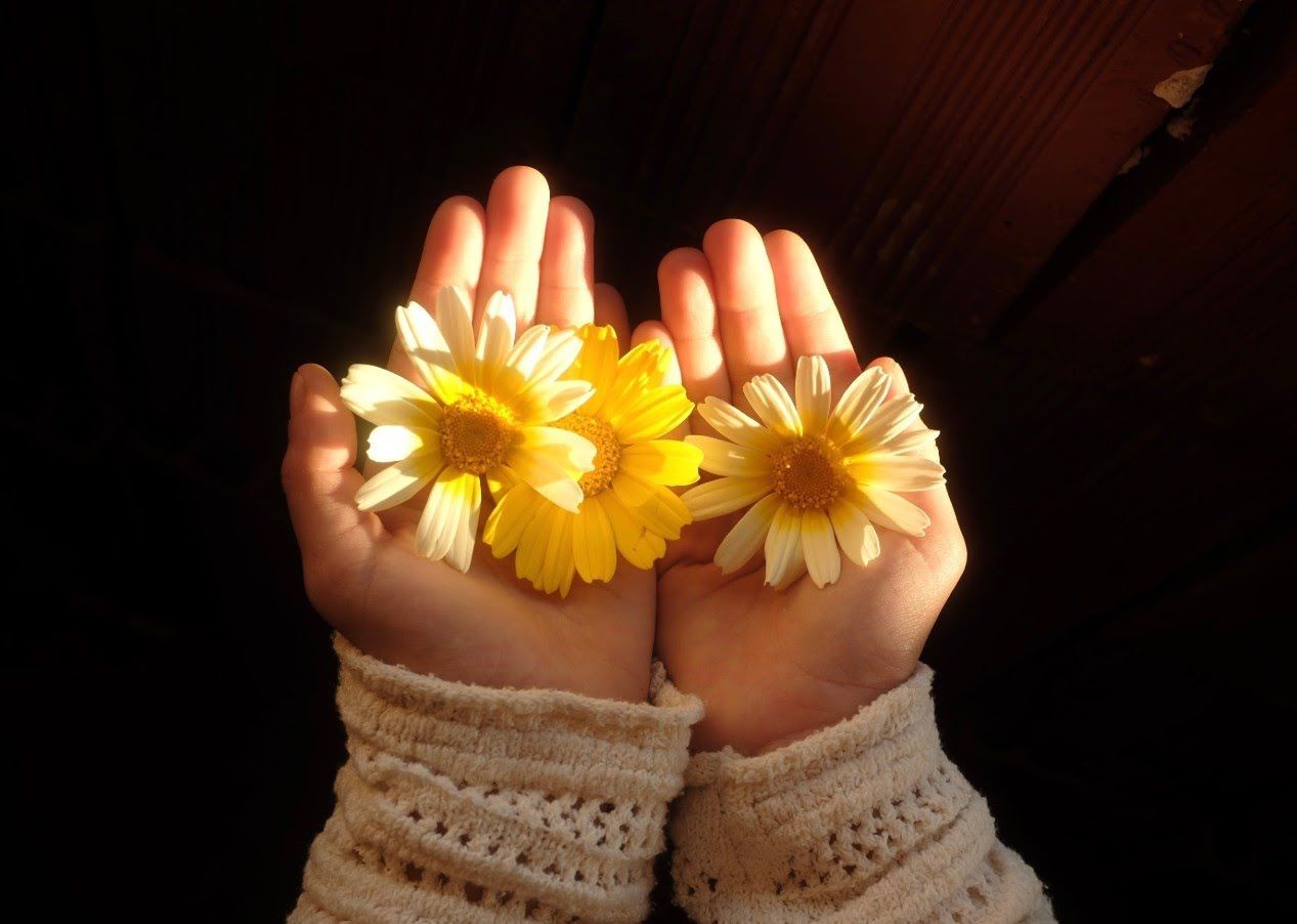 Hands holding bright flowers as a symbol of remembrance and compassionate funeral care in Ellenton