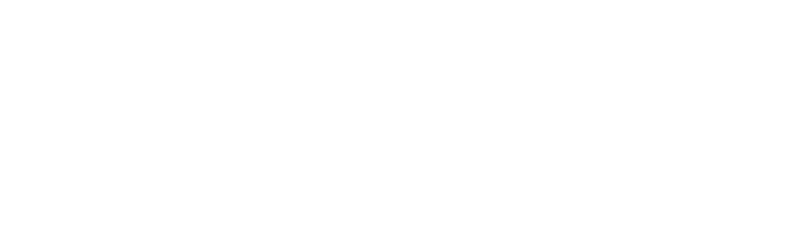 The Longevity Center Logo
