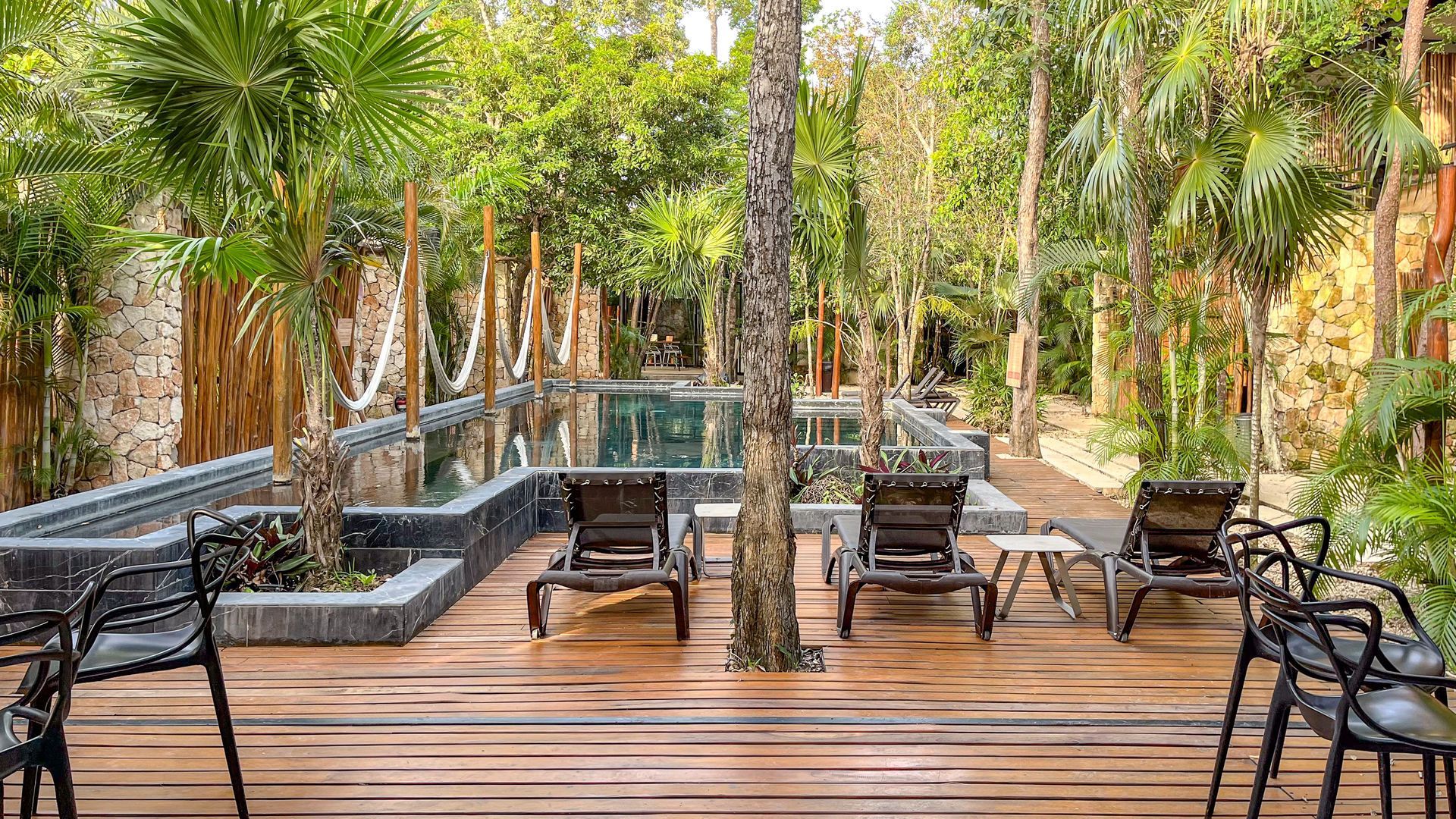 Tumbonas junto a una piscina rectangular oscura rodeada de exuberante vegetación y árboles en un entorno al aire libre.