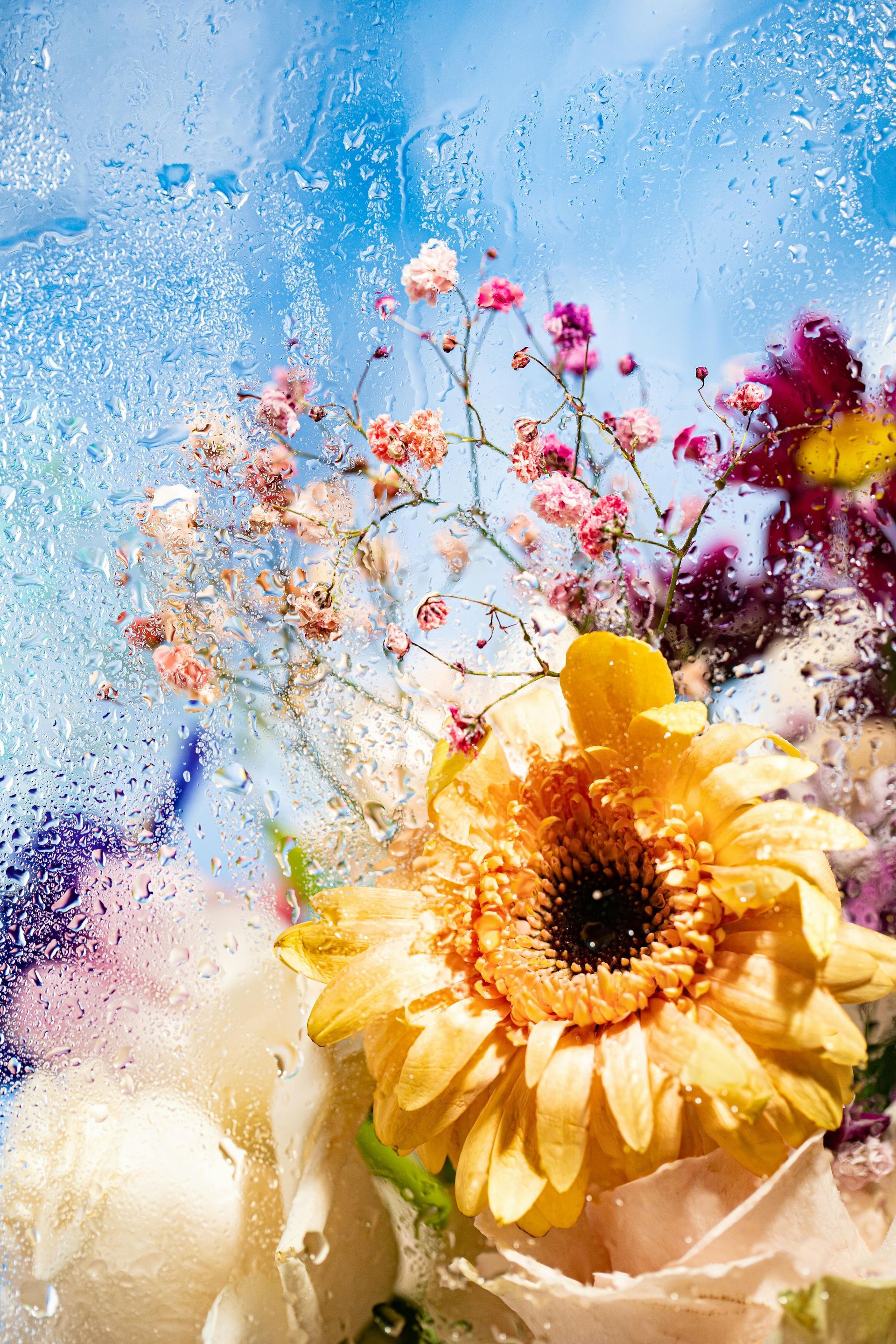 A bunch of flowers are floating in a glass of water.