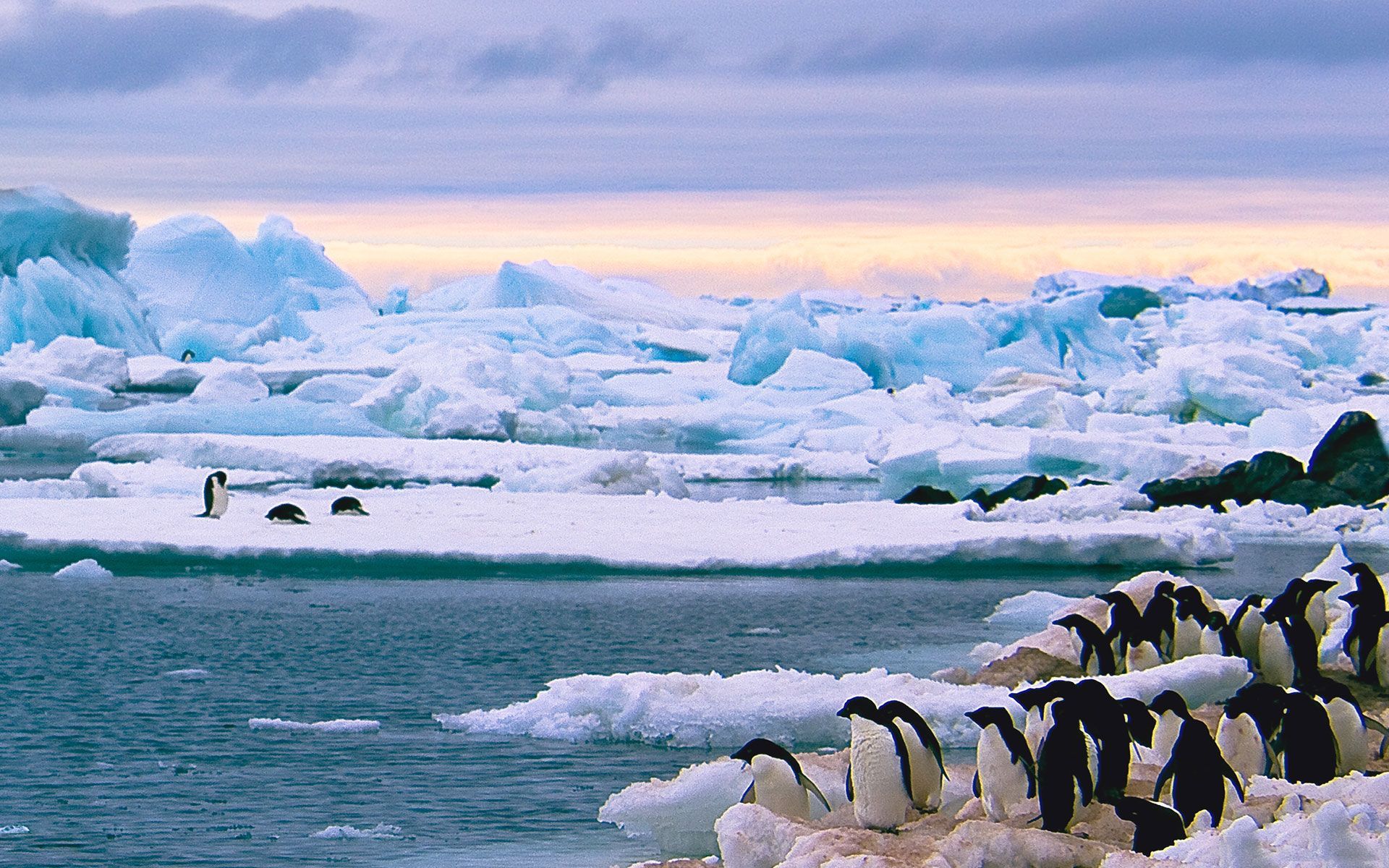Penguins on ice near icy ocean, under a hazy, colorful sky.