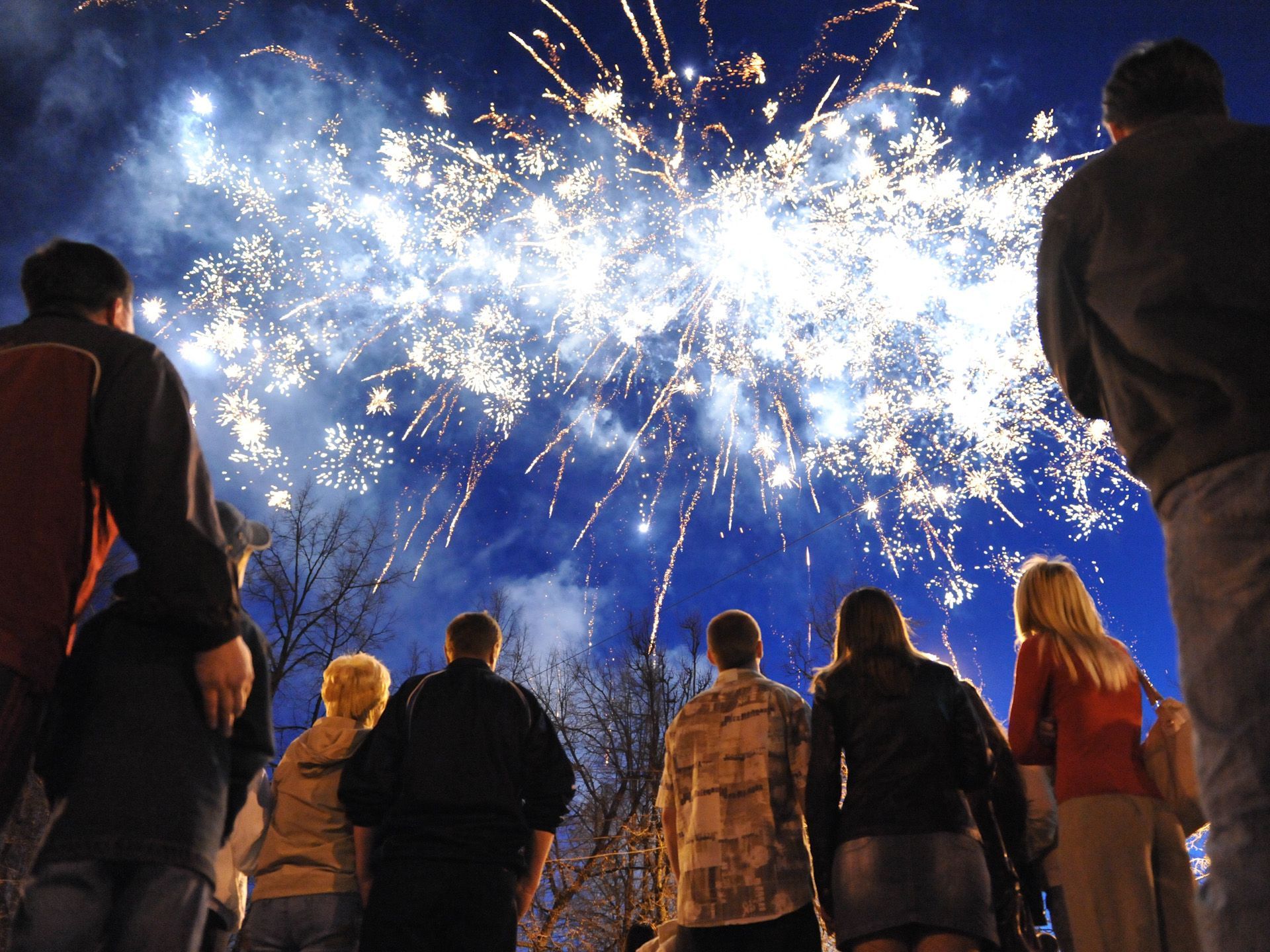 A group of people are watching fireworks in the night sky