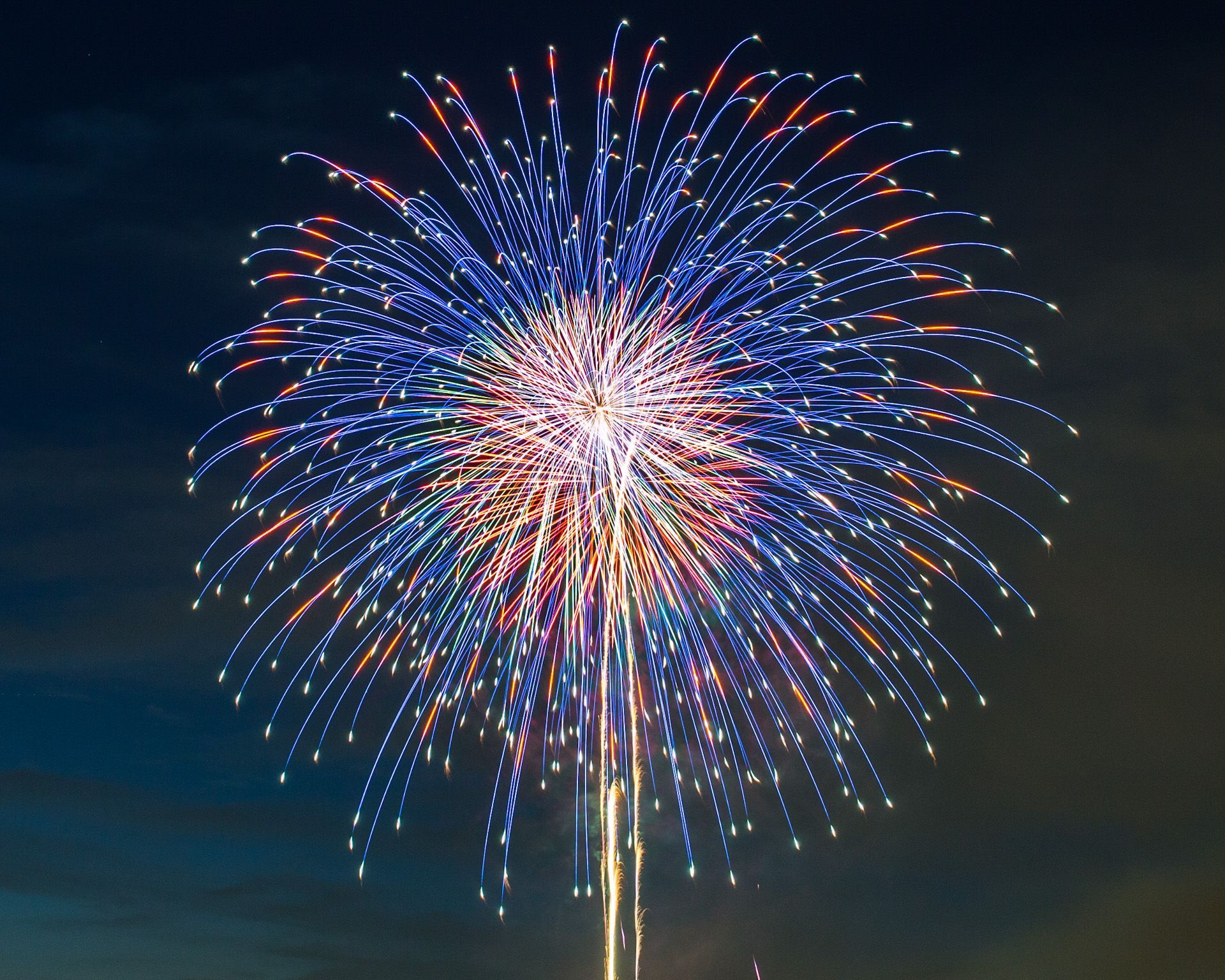 A red white and blue fireworks display in the night sky