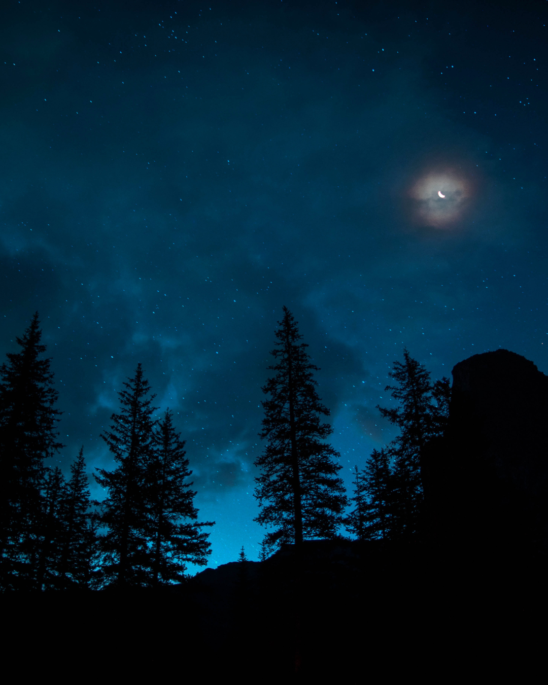 Night sky looking for answers about problematic sexual behavior