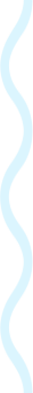 light blue wavy line
