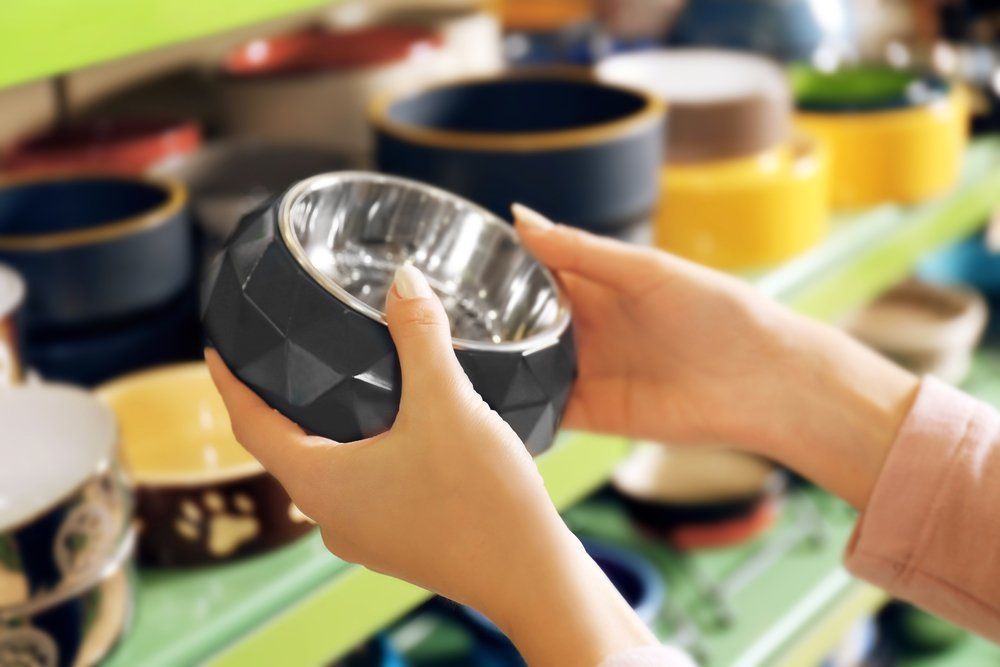 Hands of Young Woman Selected Bowl — Vet in Shellharbour, NSW