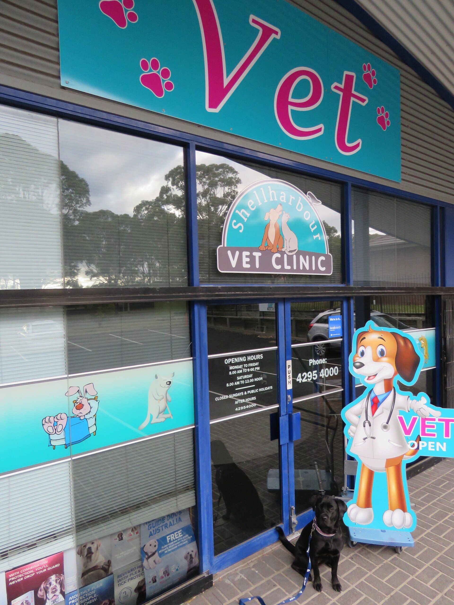 Front Of Vet — Vet in Shellharbour, NSW