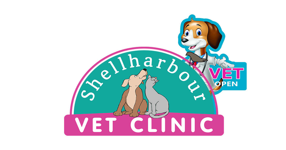 Shellharbour Veterinary Clinic