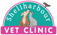 Shellharbour Veterinary Clinic: Your Trusted Vet in Shellharbour Shellharbour Veterinary Clinic: Your Trusted Vet in Shellharbour