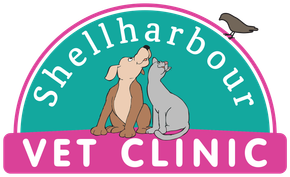 Shellharbour Veterinary Clinic: Your Trusted Vet in Shellharbour Shellharbour Veterinary Clinic: Your Trusted Vet in Shellharbour