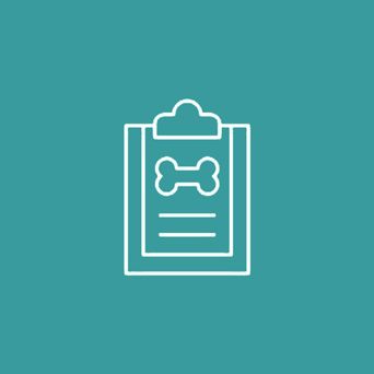 Surgery Icon — Vet in Shellharbour, NSW