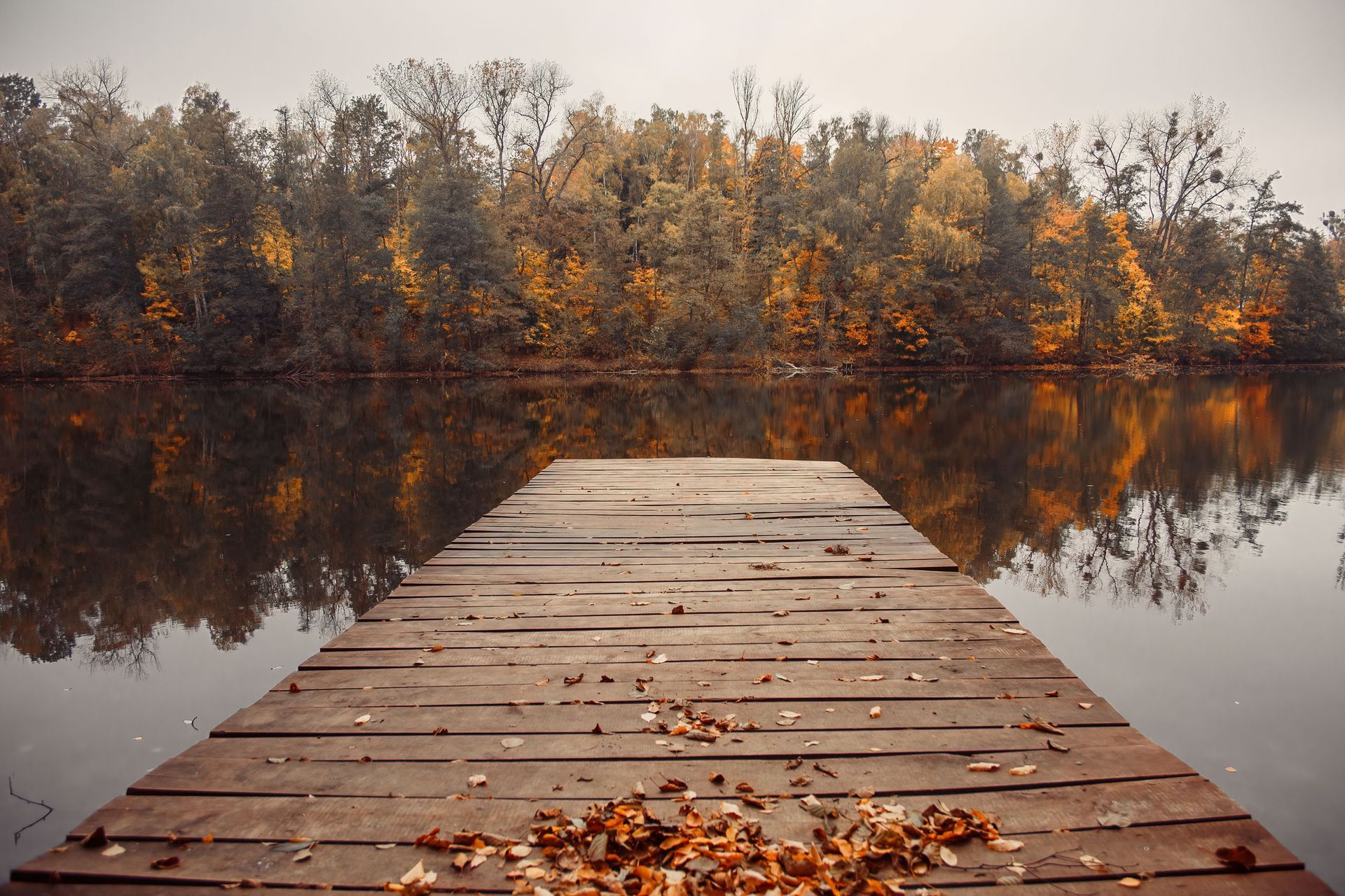 Wooden dock reaching into a calm Ontario lake in fall, with autumn trees reflected in the water