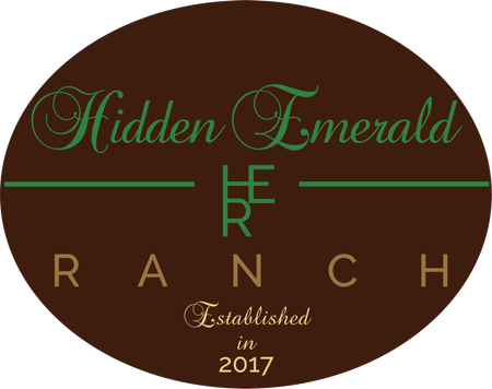 Logo for Hidden Emerald Ranch with green text on a dark brown oval, featuring the acronym HER and established in 2017.