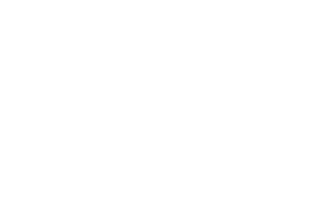 Logo Palmas y Robles SPA