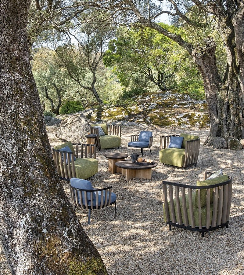 Een groep stoelen en tafels staat onder een boom in een park.