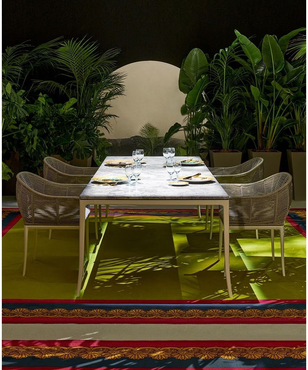 Een tafel en stoelen staan ​​op een kleed in een kamer omringd door planten.