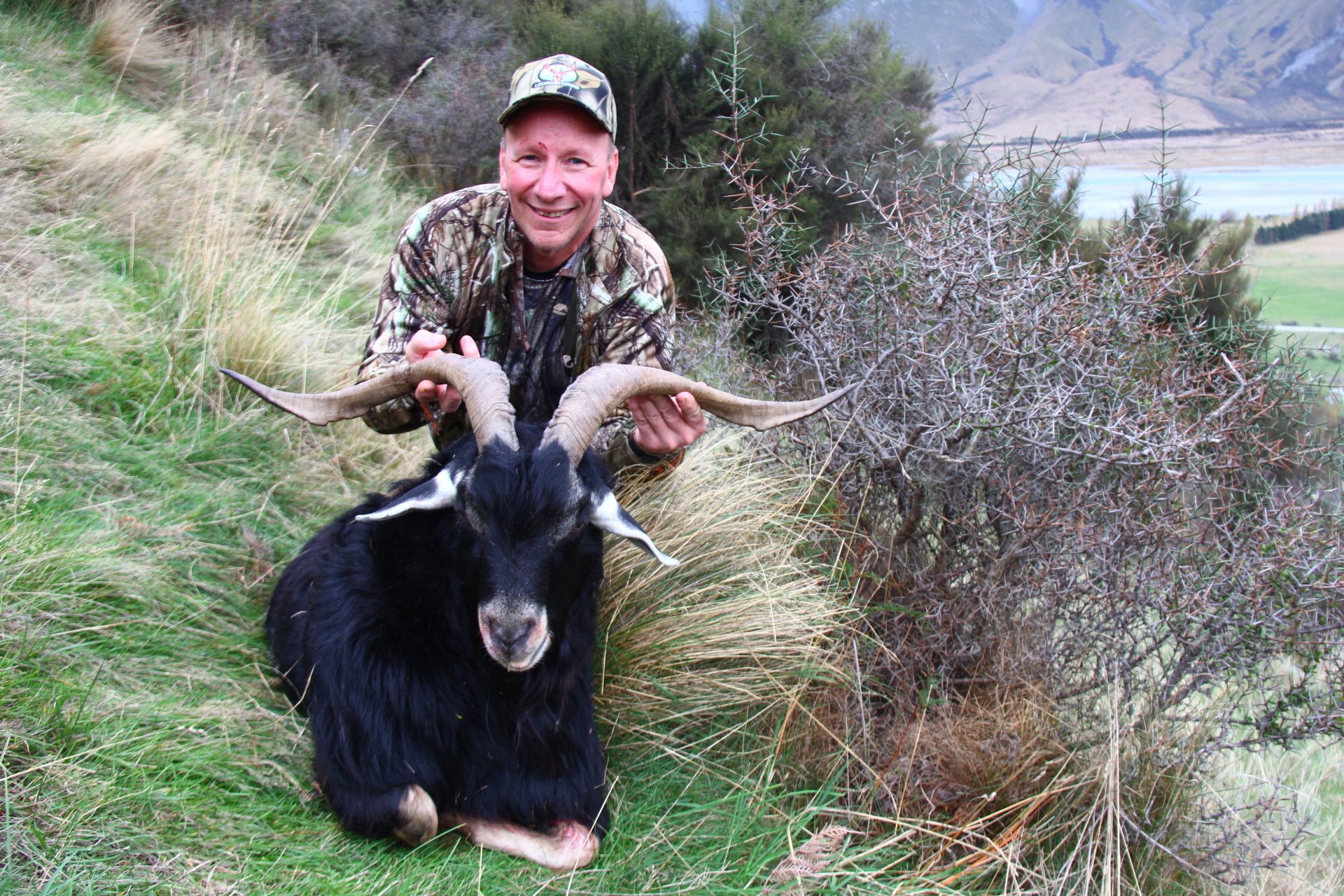 Feral Goat hunting in New Zealand