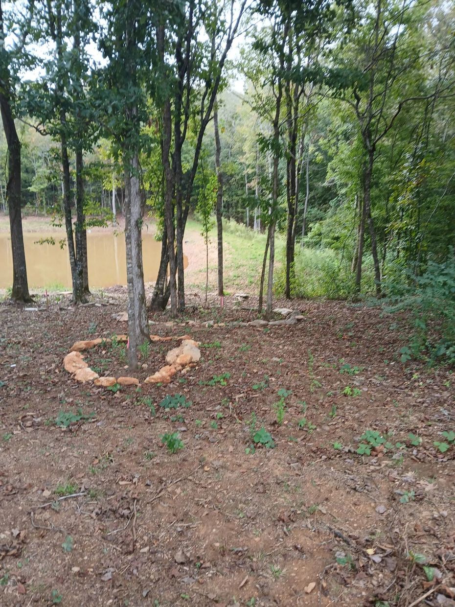 A small, circular stone-lined garden plot surrounding a tree in a clearing with a pond in the background.