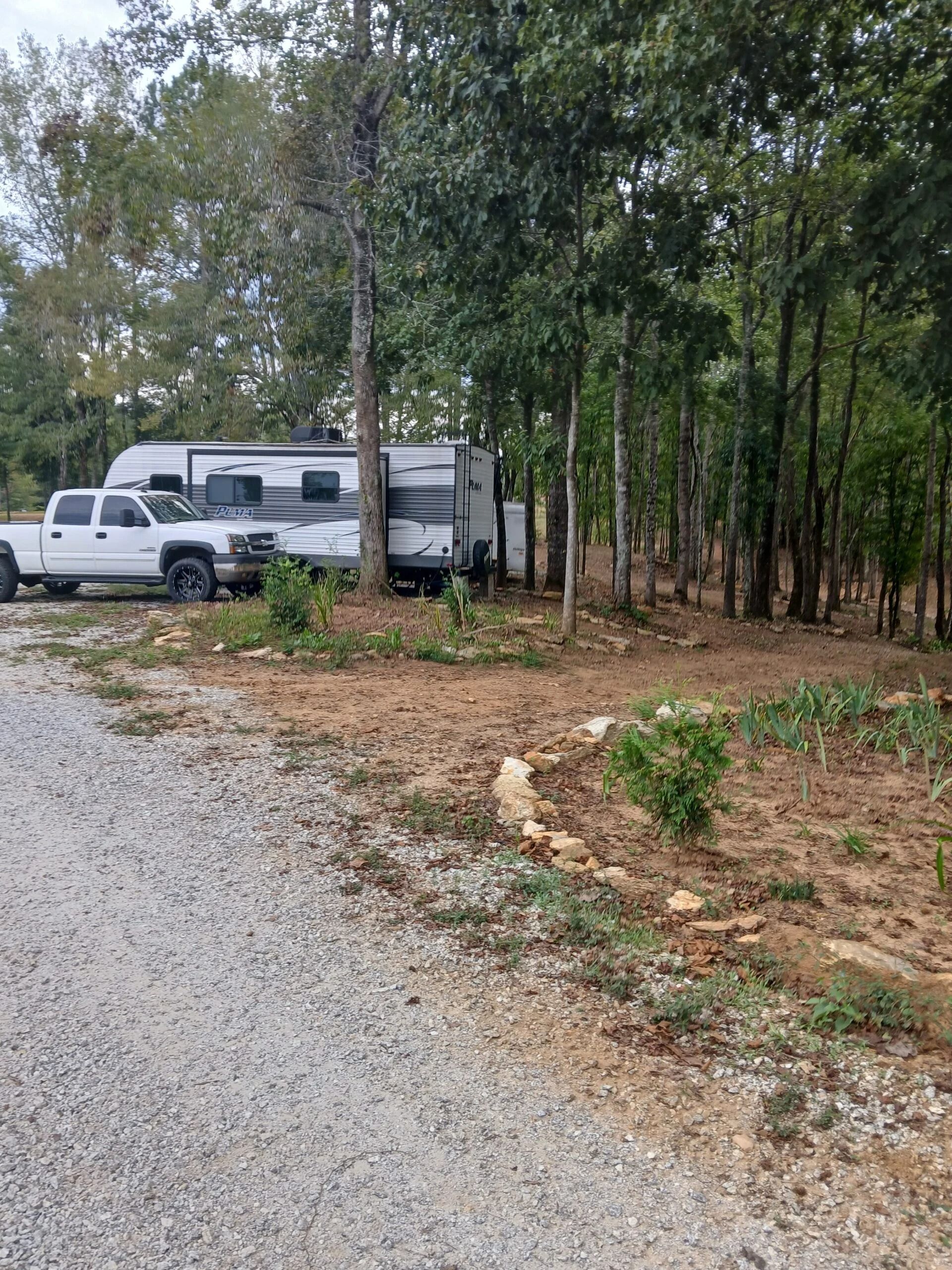 A white pickup truck parked next to a travel trailer on a gravel lot bordered by trees.