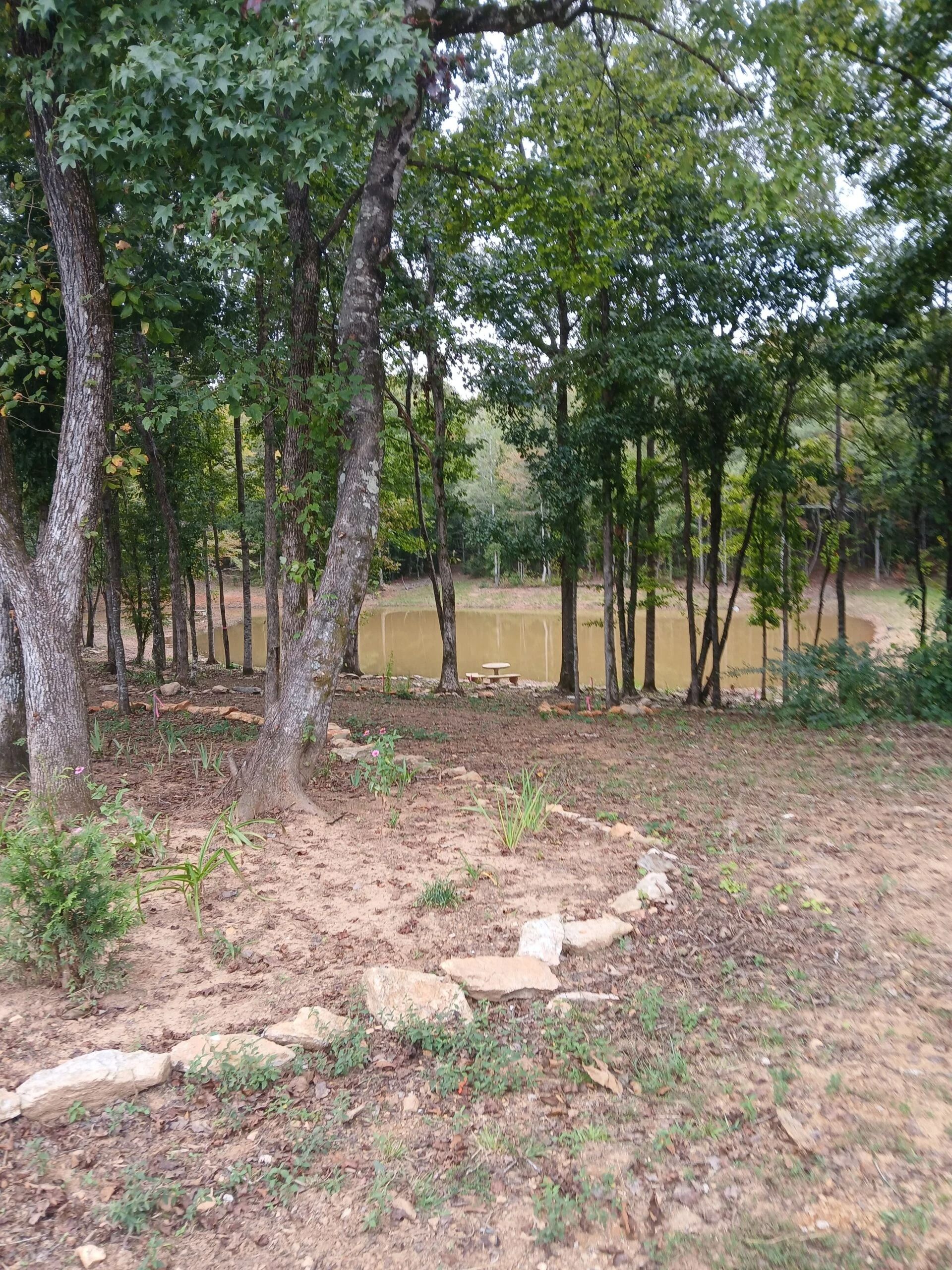 A small, murky pond sits in a forest clearing, bordered by a stone-lined garden bed in the foreground.