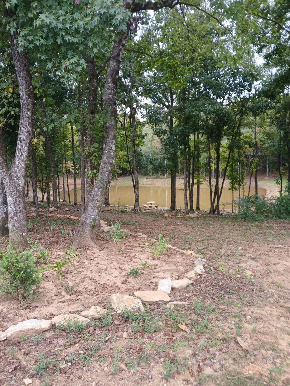 A small, murky pond sits in a forest clearing, bordered by a stone-lined garden bed in the foreground.
