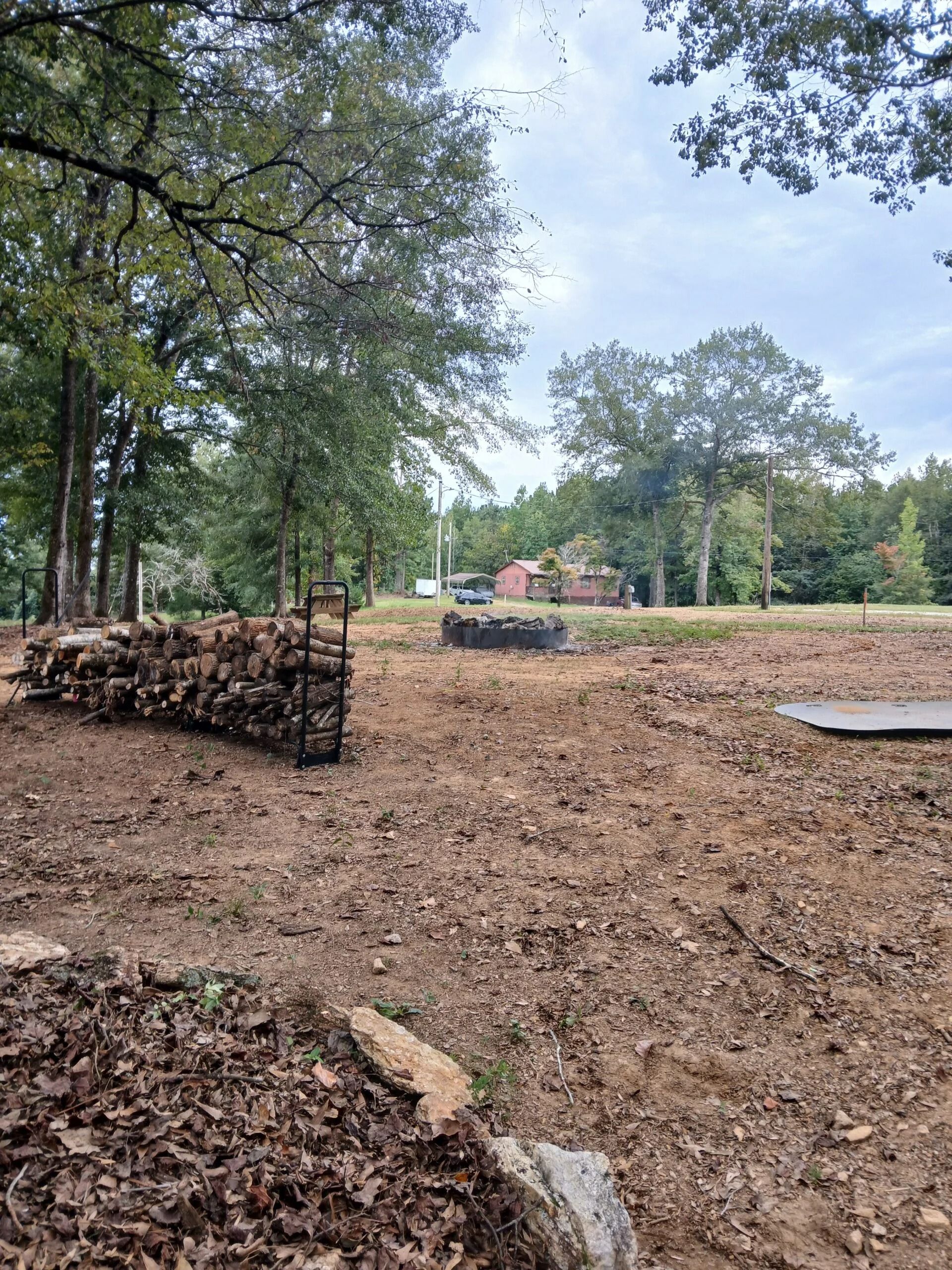 A large woodpile sits in a cleared, leaf-covered yard with trees and a house in the background under a cloudy sky.